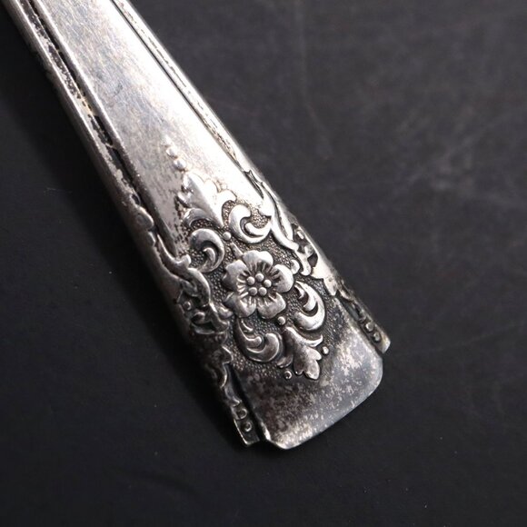 WM Rogers Mountain Rose Silverplate Flatware 8 Butter 1 Master 1 Slotted Spoon - Picture 2 of 8